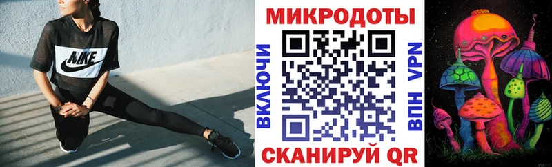Галлюциногенные грибы прущие грибы  закладка  Пошехонье 